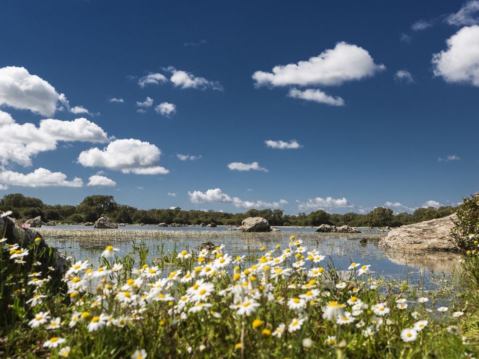 Attività in famiglia nel Sud Sardegna Visita al Parco della Giara