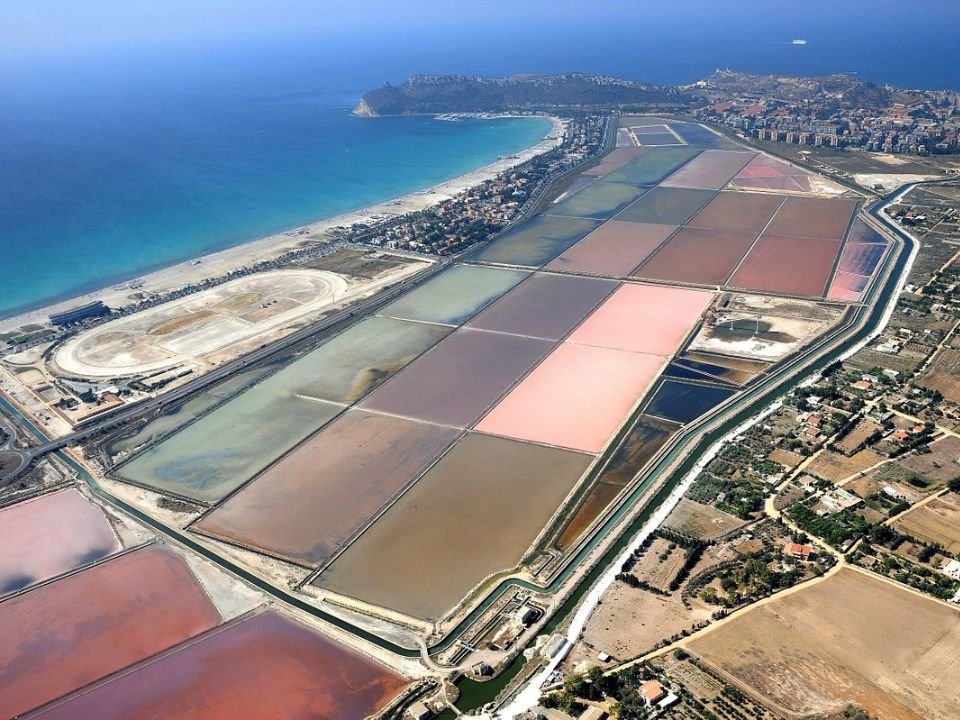 Attività in famiglia nel Sud Sardegna Visita al Parco di Montelargius